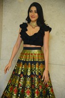 Nikki Tamboli Gallery